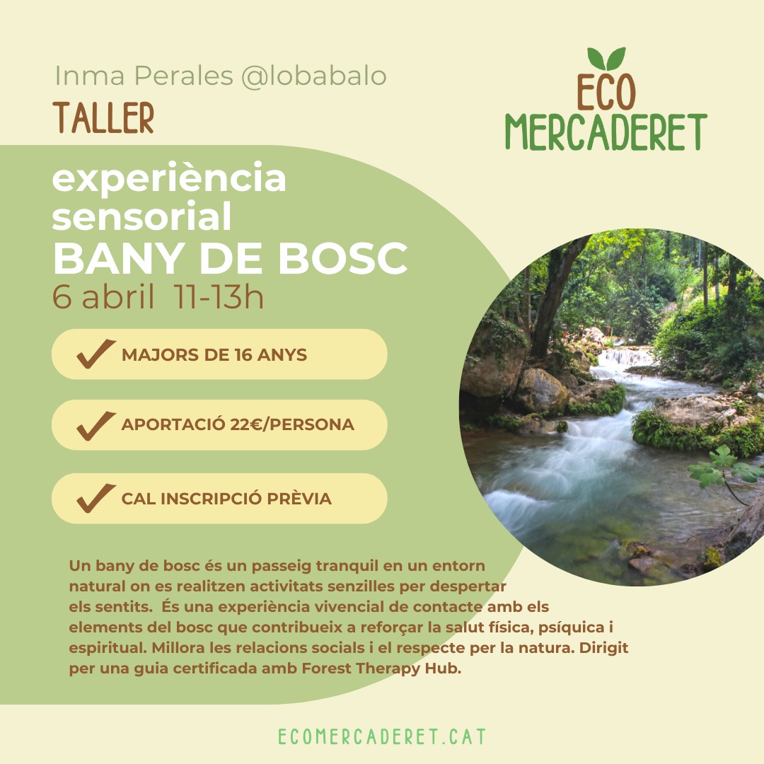 Bany de Bosc 